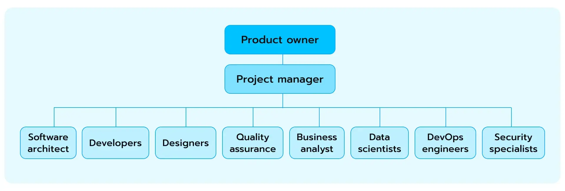 The general development team structure