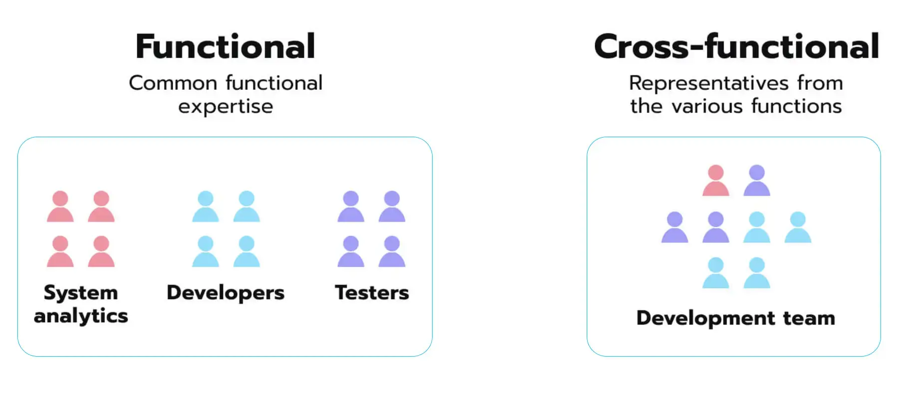 Functional vs cross-functional team