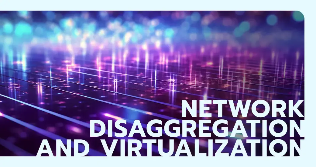 Network disaggregation and virtualization 